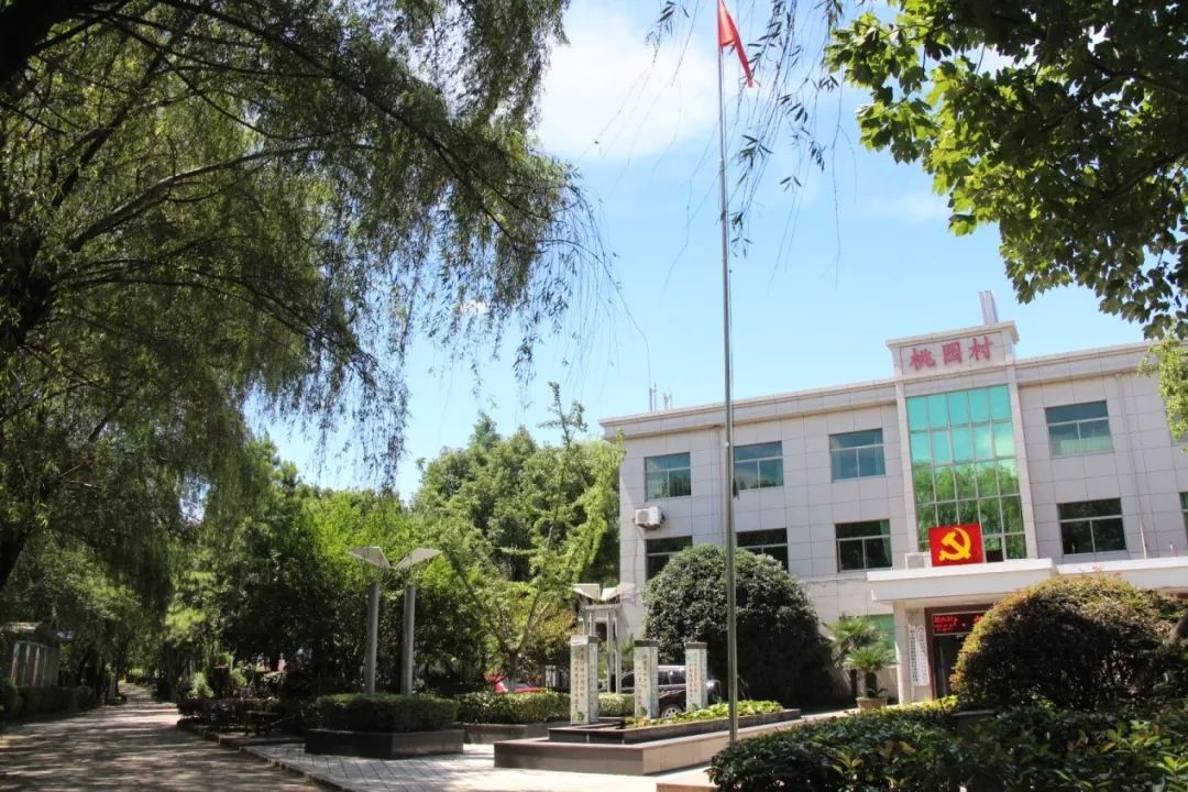 202201251003001195.jpeg 2.jpeg